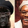 El perro que se parece a Samuel L. Jackson